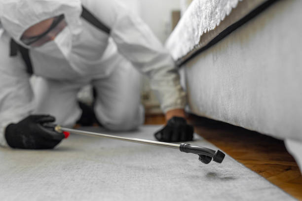 Professional Emergency Pest Control technician working in East McKeesport, PA