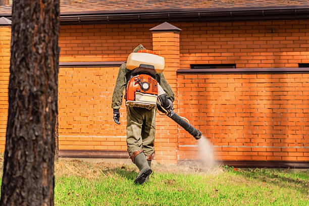 Trusted Termite Control service in East McKeesport, PA - Nex Pest Control